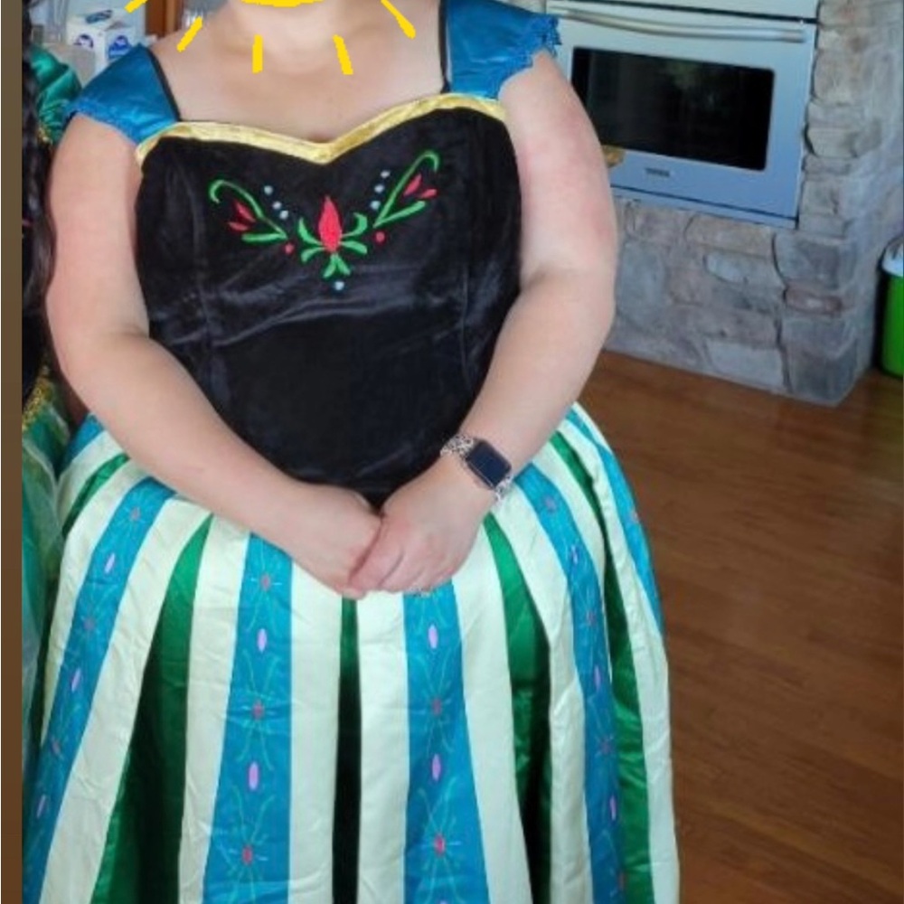 Plus size adult 2 piece costume - princess Anna (Frozen)